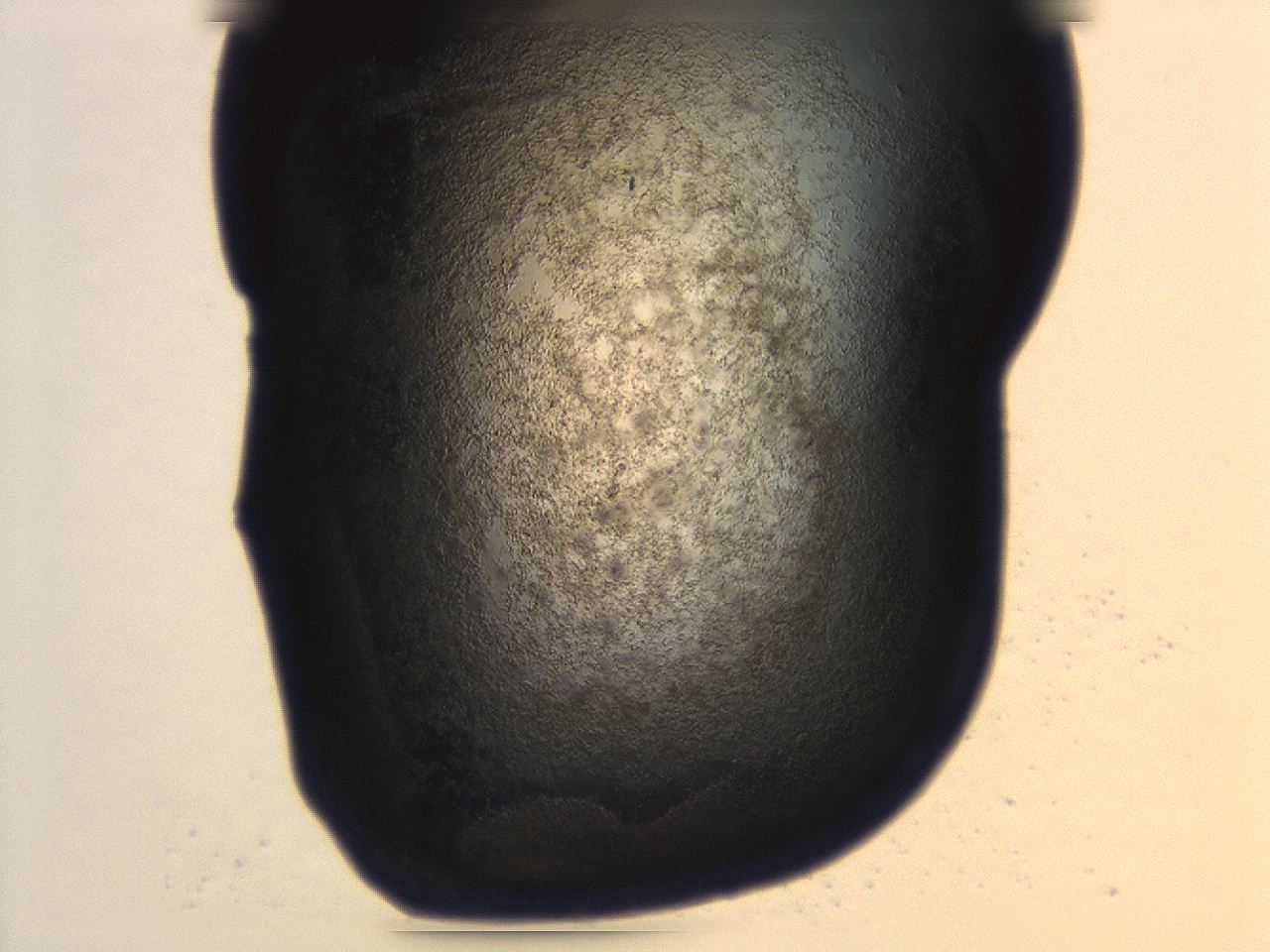 047a_G2_ImagerDefaults_3.jpg