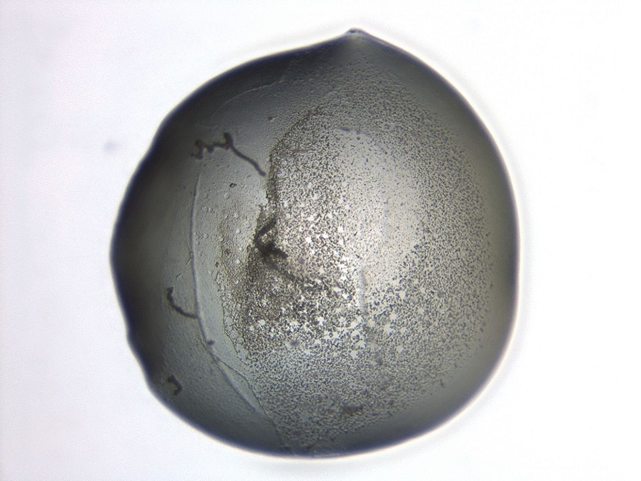 047a_G3_ImagerDefaults_3.jpg