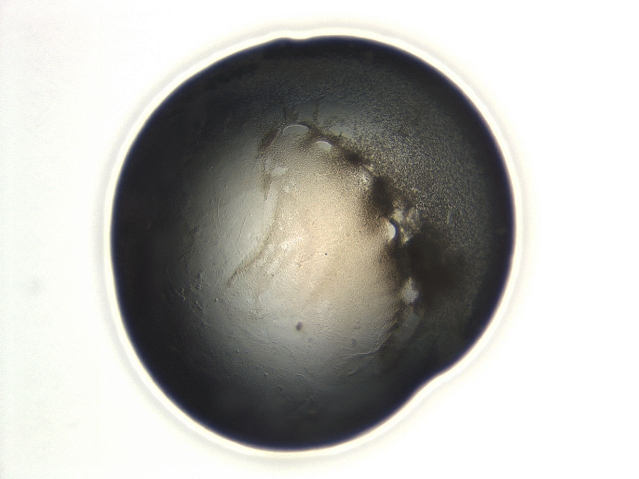 047a_G9_ImagerDefaults_3.jpg