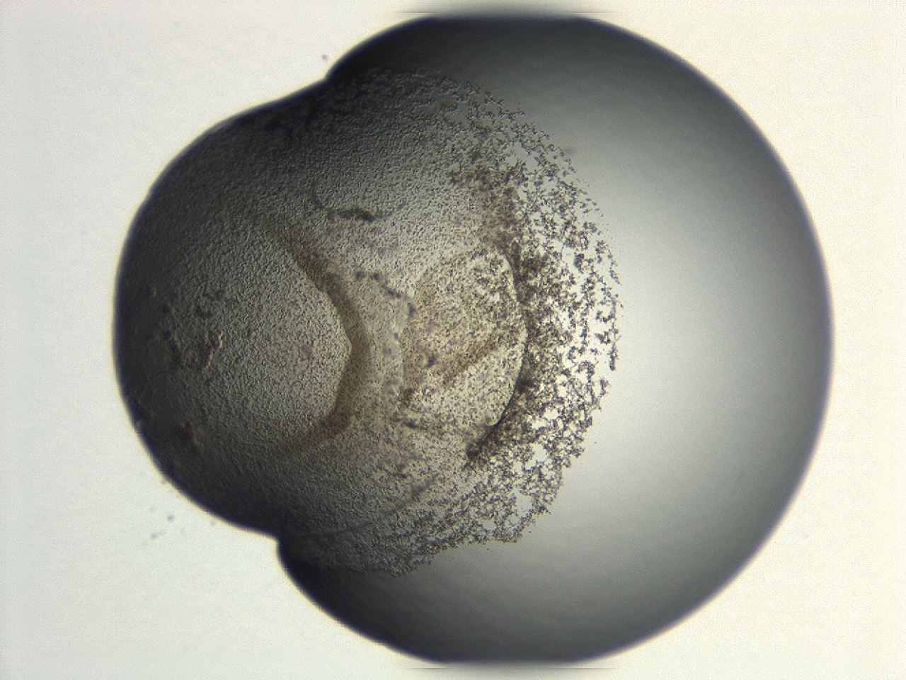 047a_G10_ImagerDefaults_3.jpg