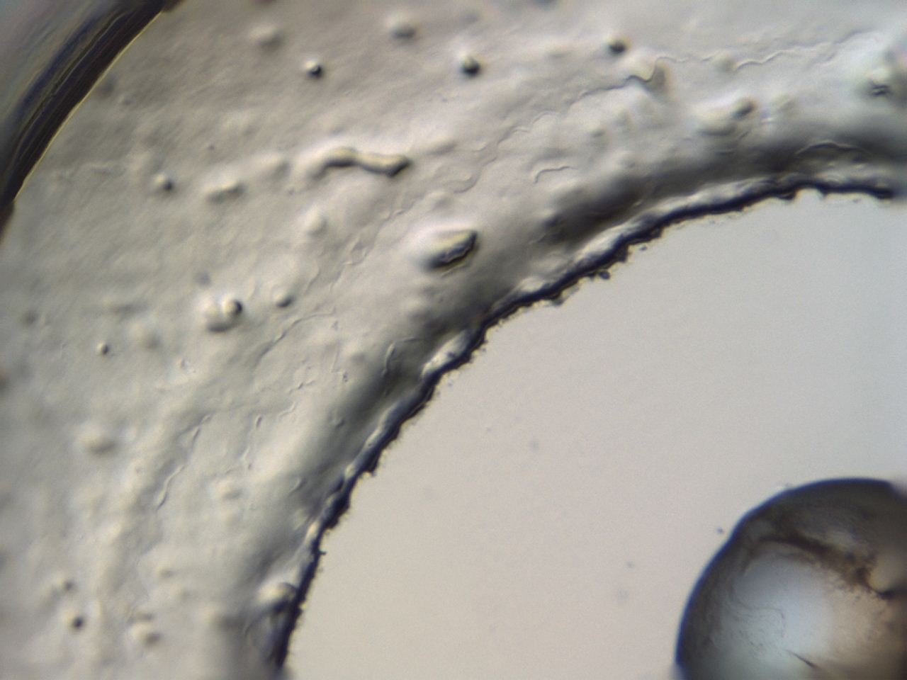 047a_G11_ImagerDefaults_3.jpg