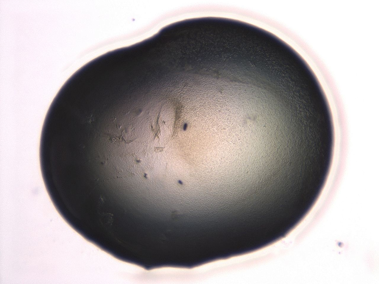 047a_H2_ImagerDefaults_3.jpg