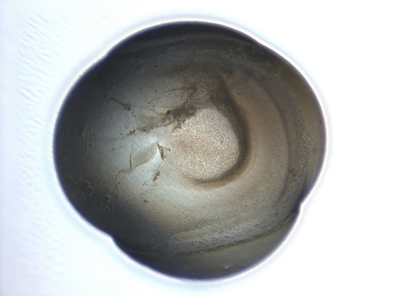 047a_H5_ImagerDefaults_3.jpg