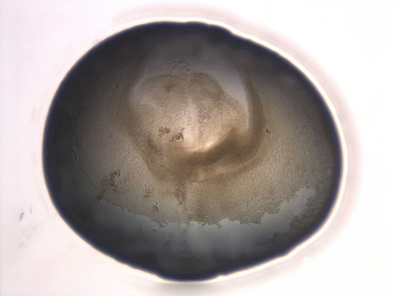 047a_H6_ImagerDefaults_3.jpg