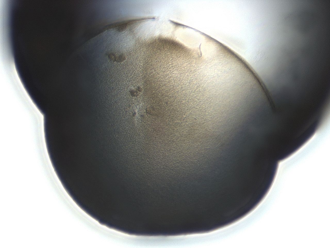 047a_H8_ImagerDefaults_3.jpg