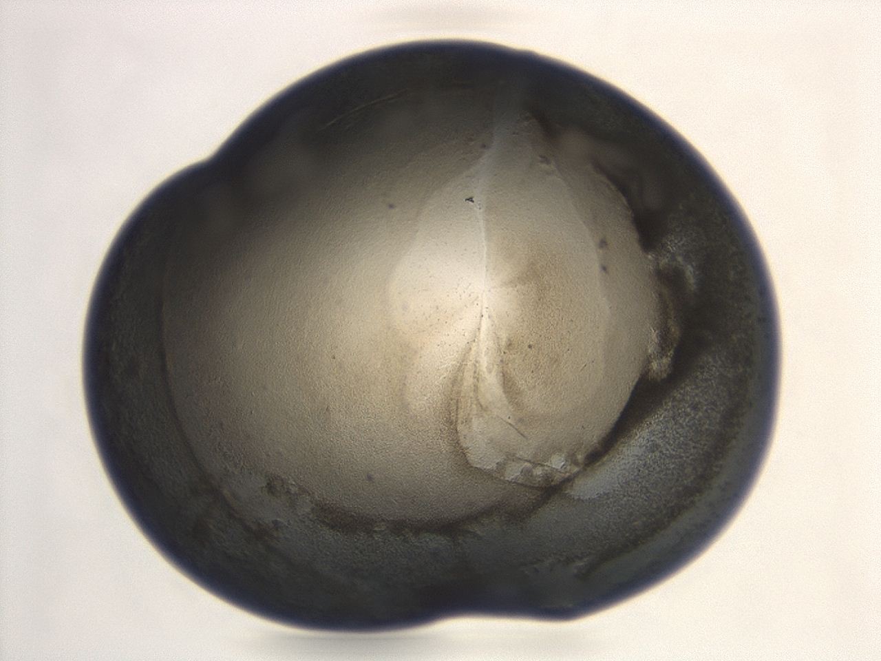 047a_H10_ImagerDefaults_3.jpg