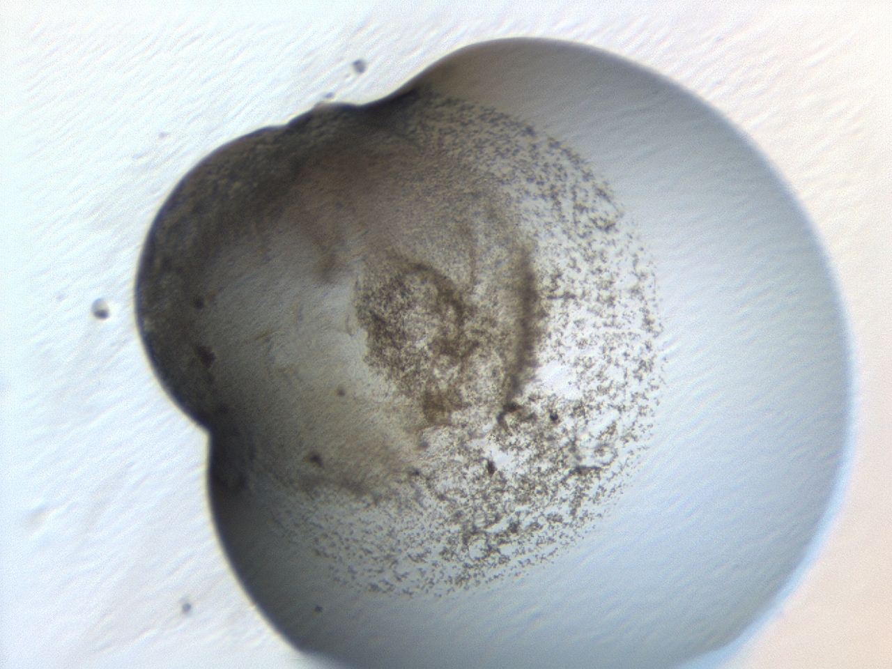 047a_H12_ImagerDefaults_3.jpg