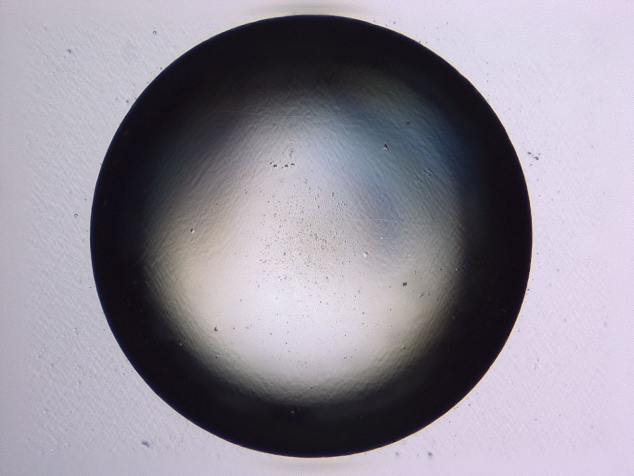 047b_A4_ImagerDefaults_0.jpg