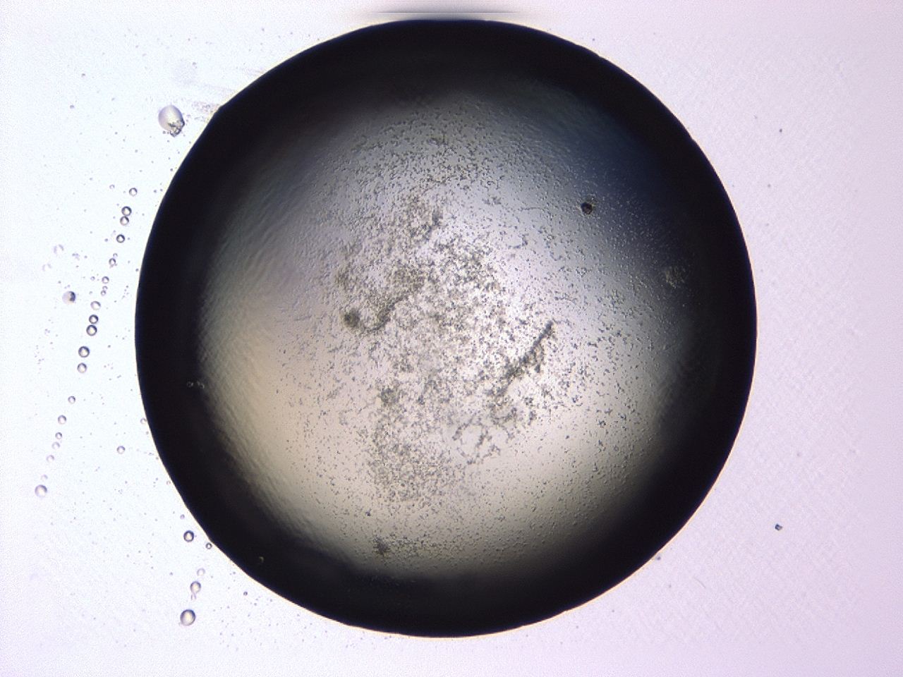 047b_A5_ImagerDefaults_3.jpg
