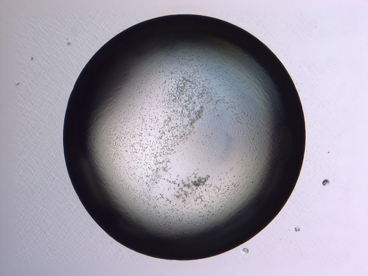 047b_A8_ImagerDefaults_3.jpg