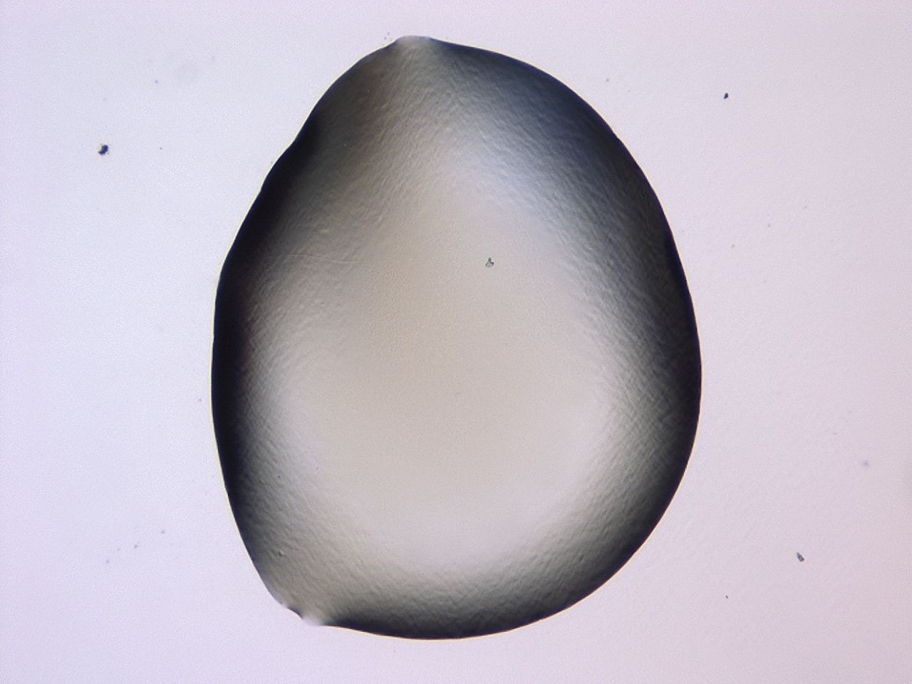 047b_A10_ImagerDefaults_0.jpg