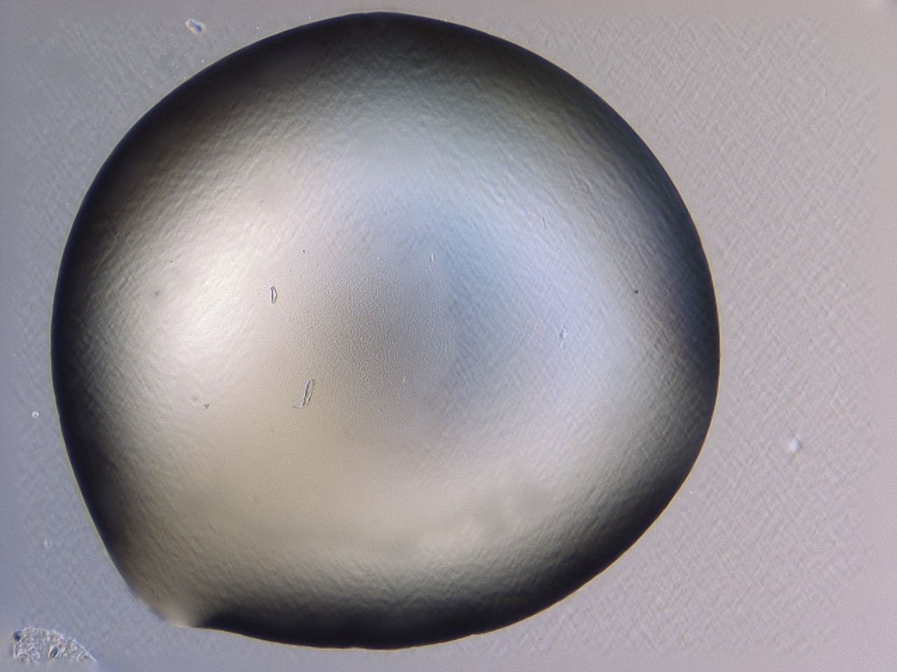 047b_A11_ImagerDefaults_0.jpg