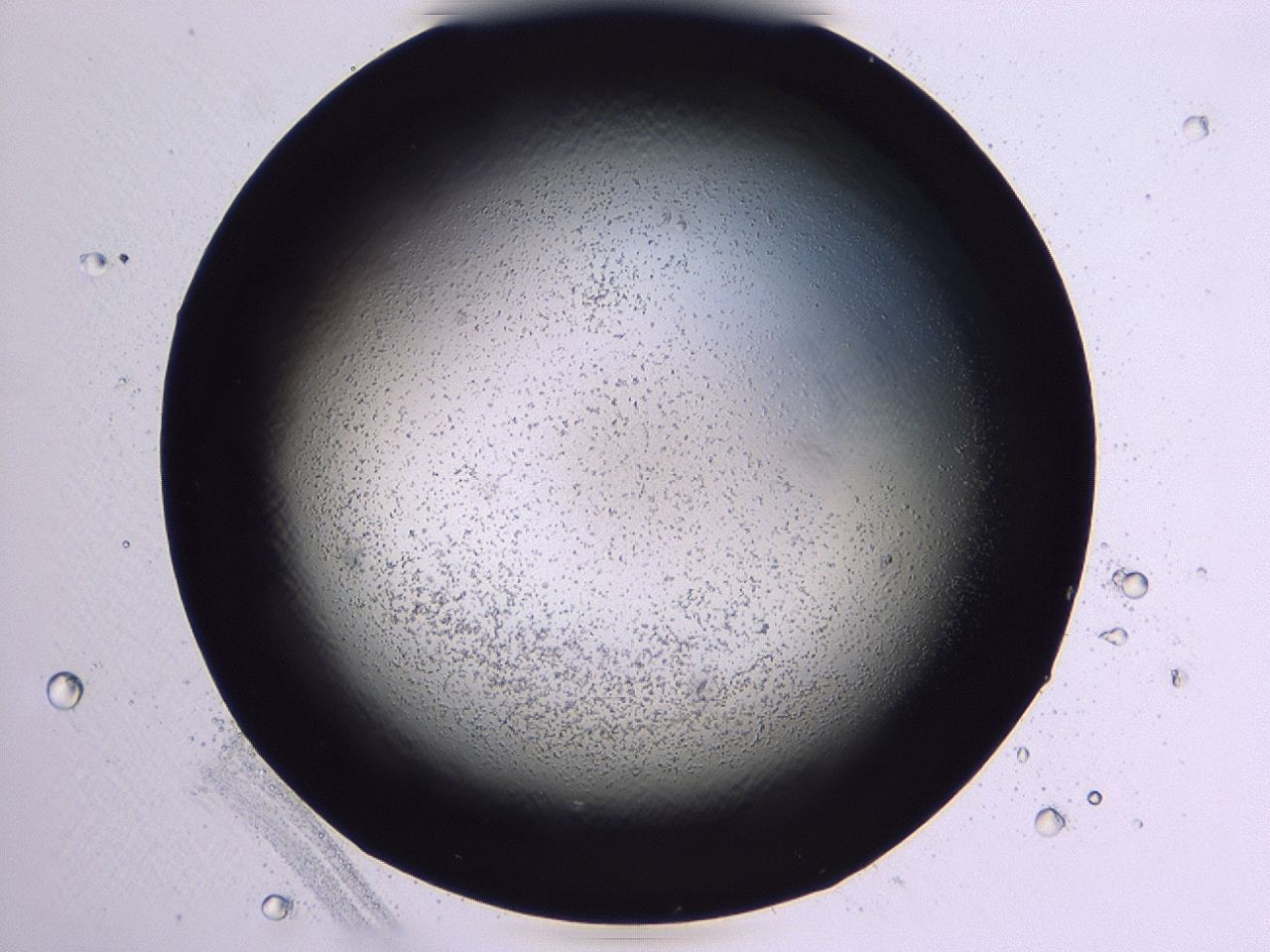 047b_A12_ImagerDefaults_3.jpg