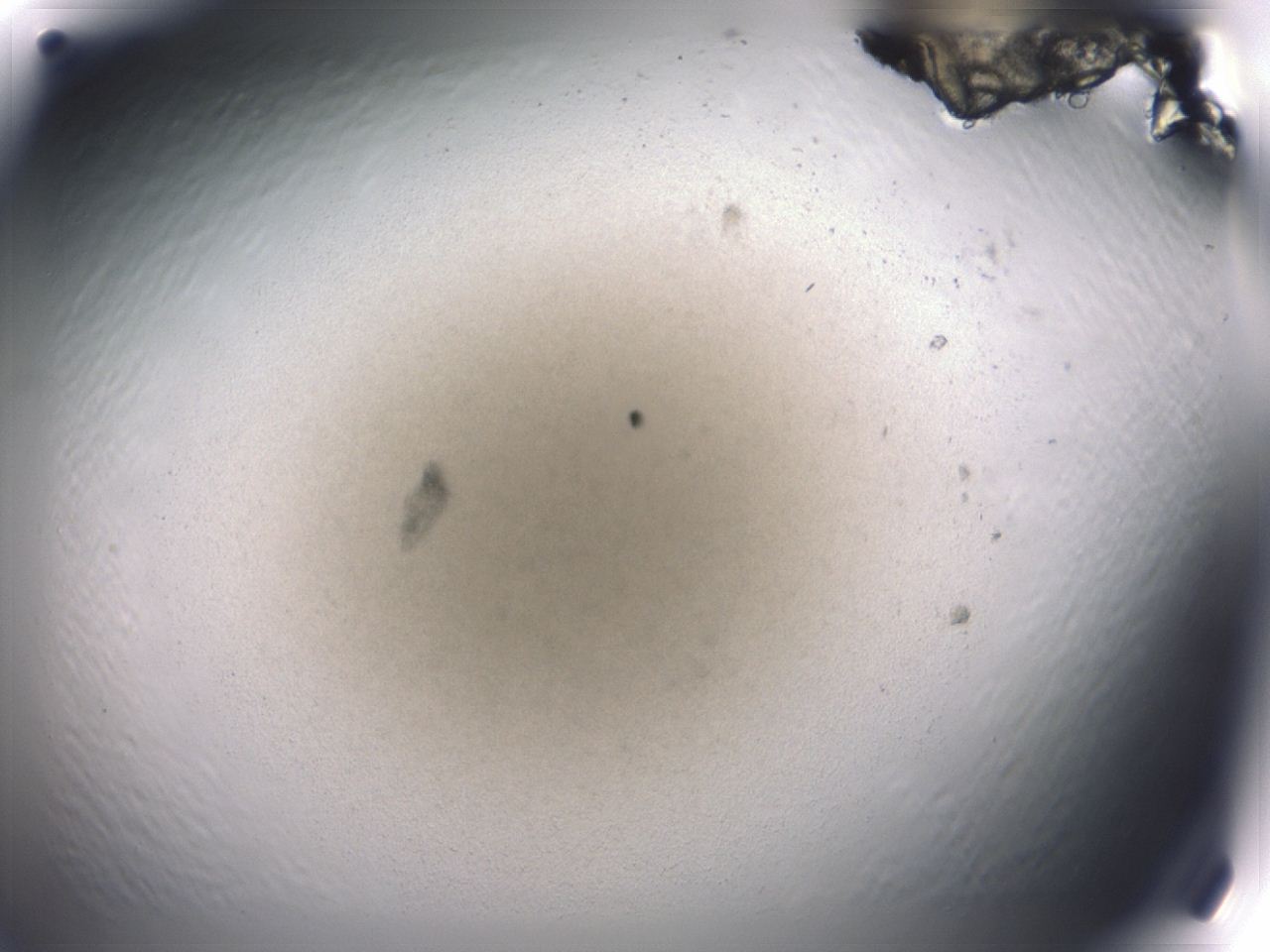 047b_B3_ImagerDefaults_2.jpg