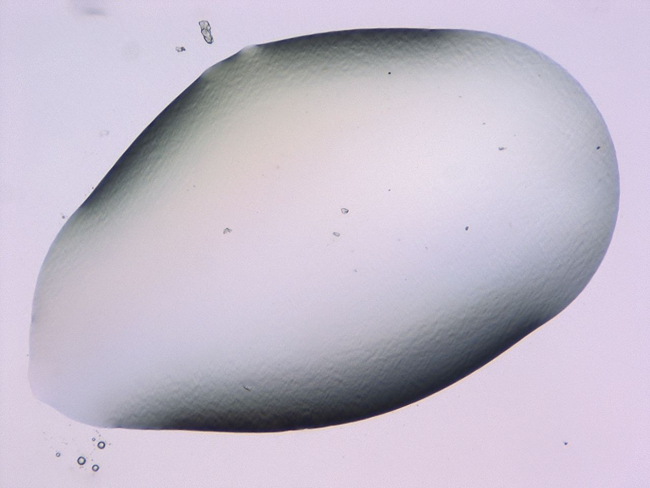 047b_B5_ImagerDefaults_0.jpg