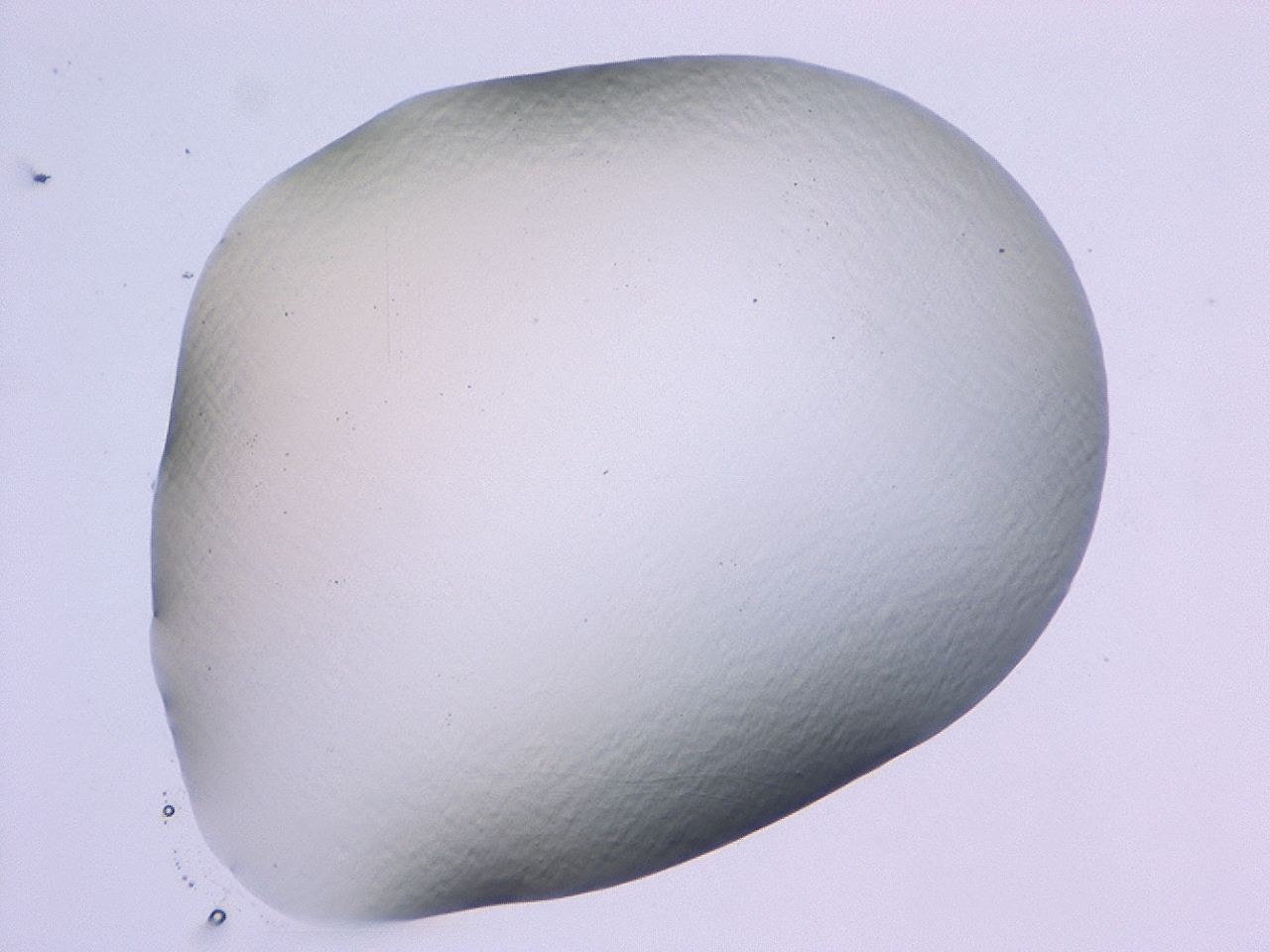 047b_B8_ImagerDefaults_0.jpg