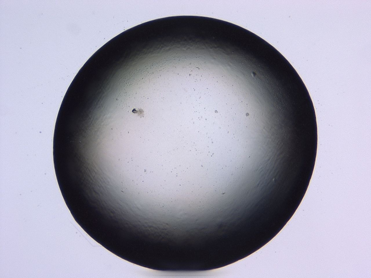 047b_B9_ImagerDefaults_0.jpg