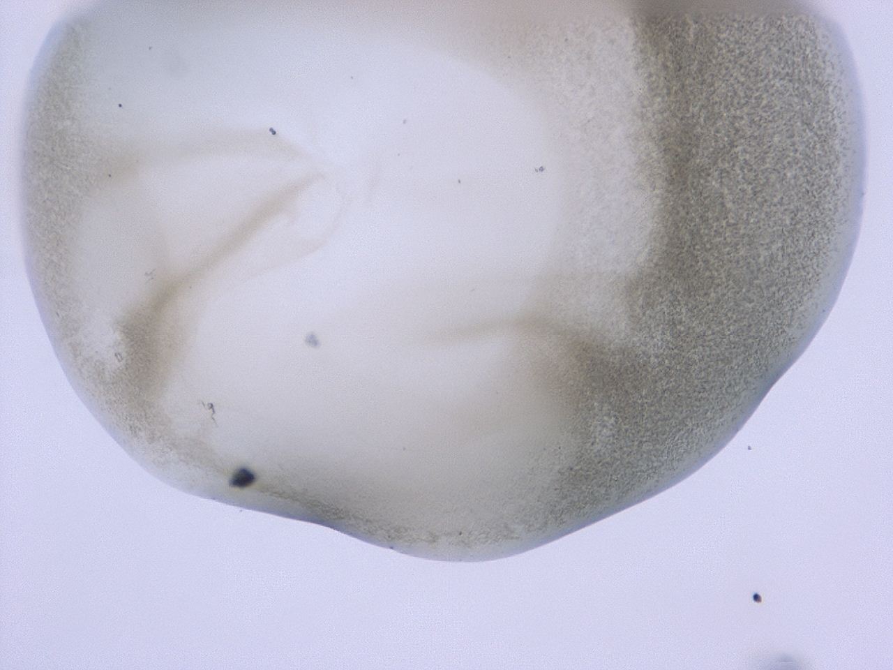 047b_B10_ImagerDefaults_3.jpg