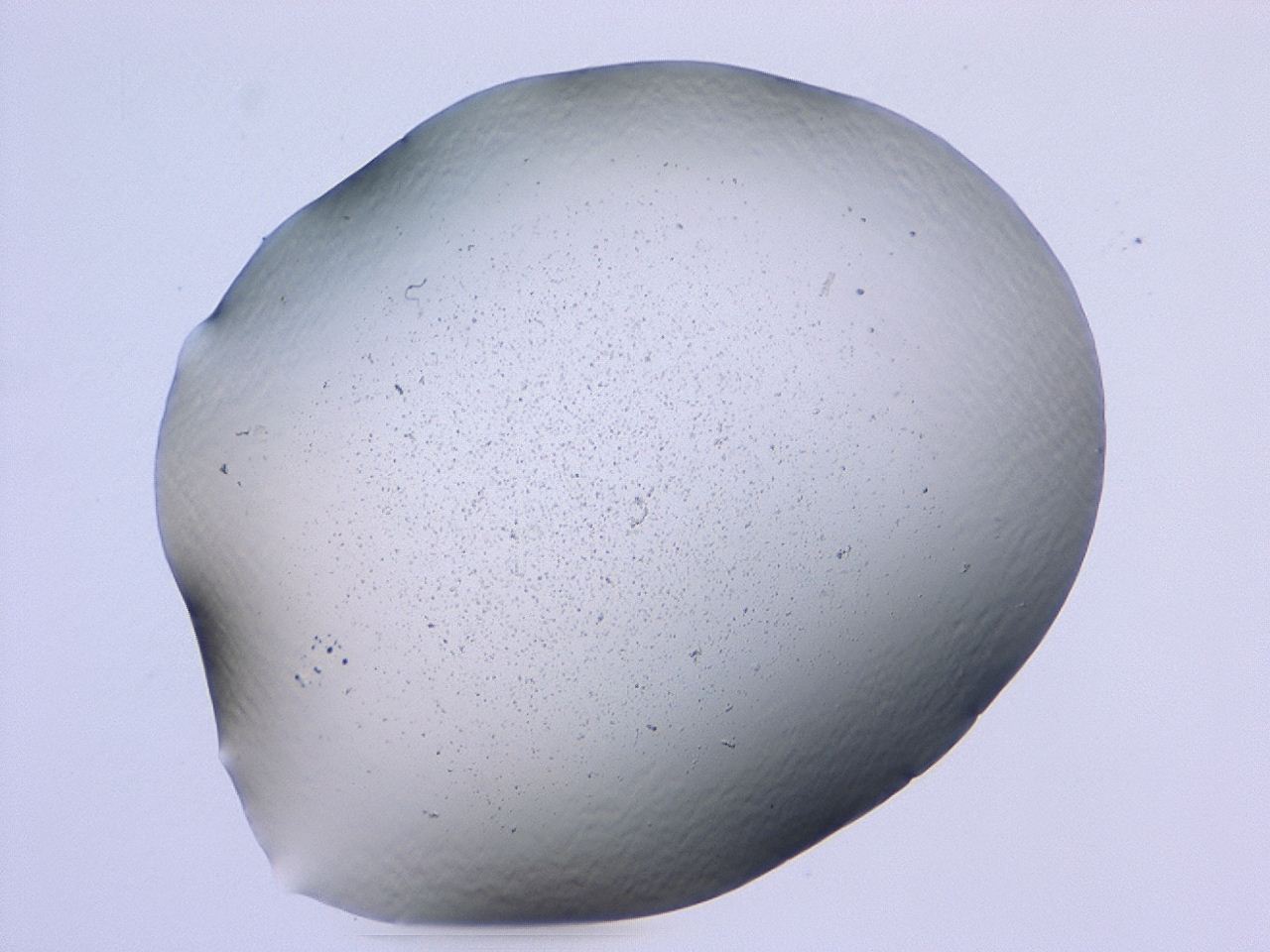 047b_B11_ImagerDefaults_3.jpg