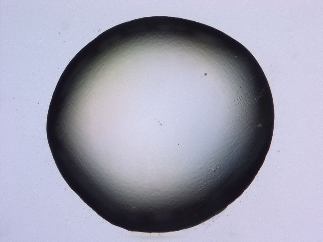 047b_B12_ImagerDefaults_0.jpg