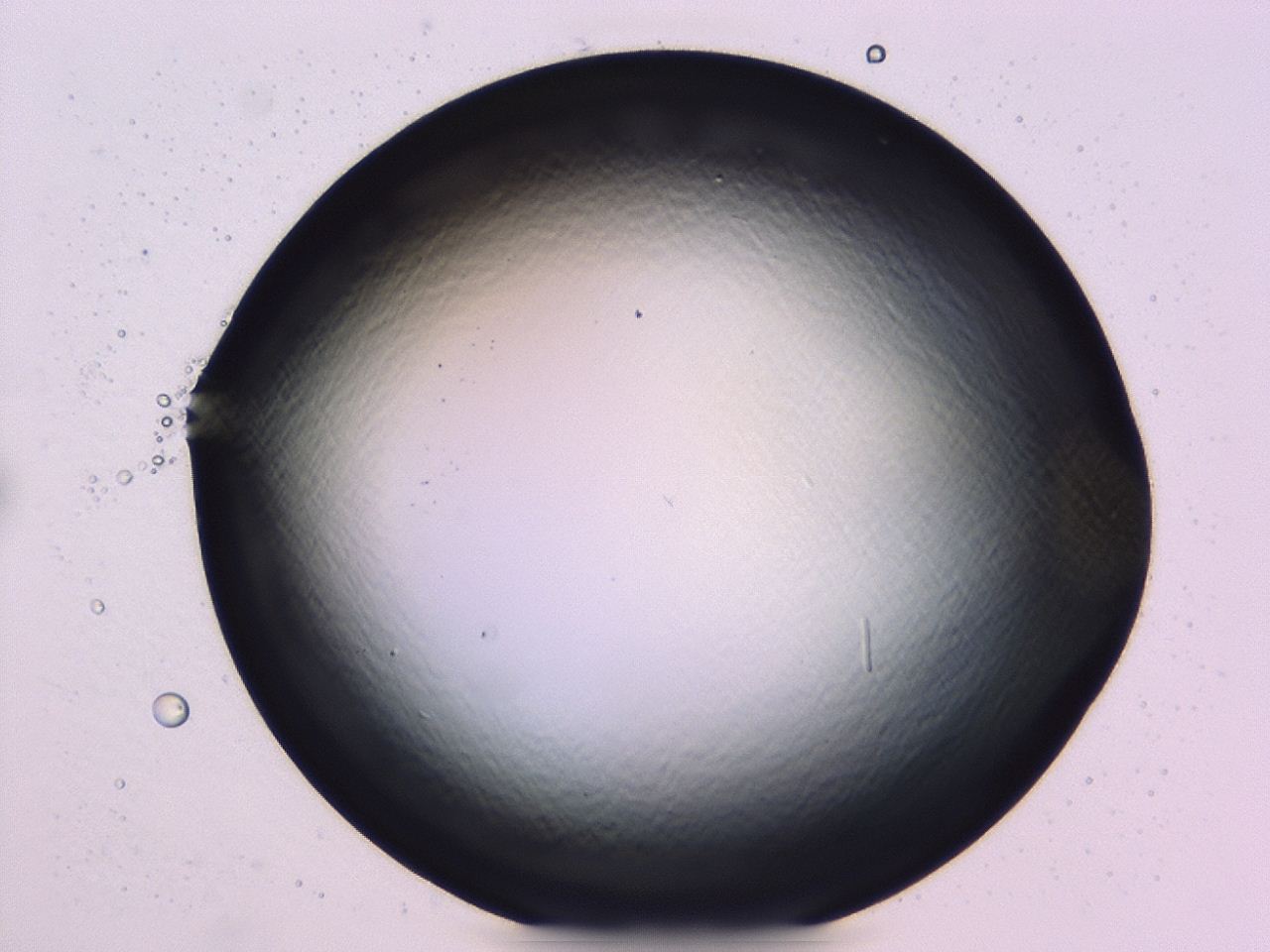 047b_C2_ImagerDefaults_0.jpg