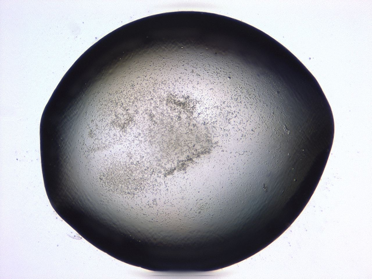 047b_C3_ImagerDefaults_3.jpg
