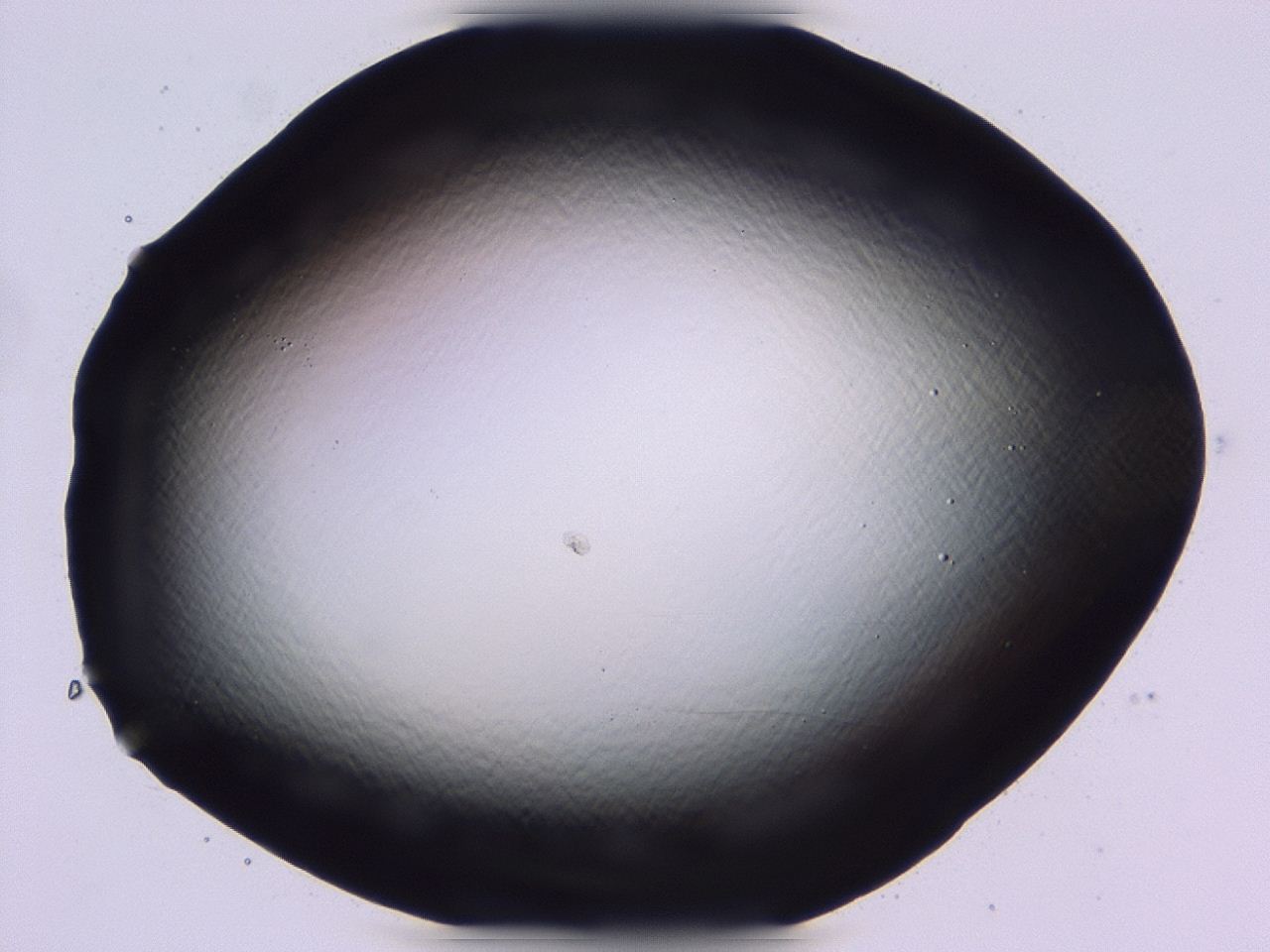 047b_C4_ImagerDefaults_0.jpg
