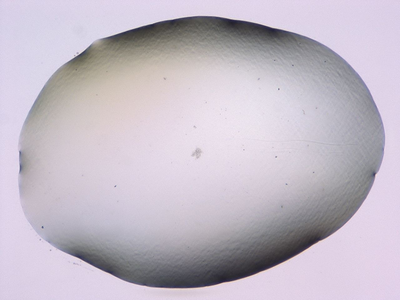 047b_C6_ImagerDefaults_0.jpg