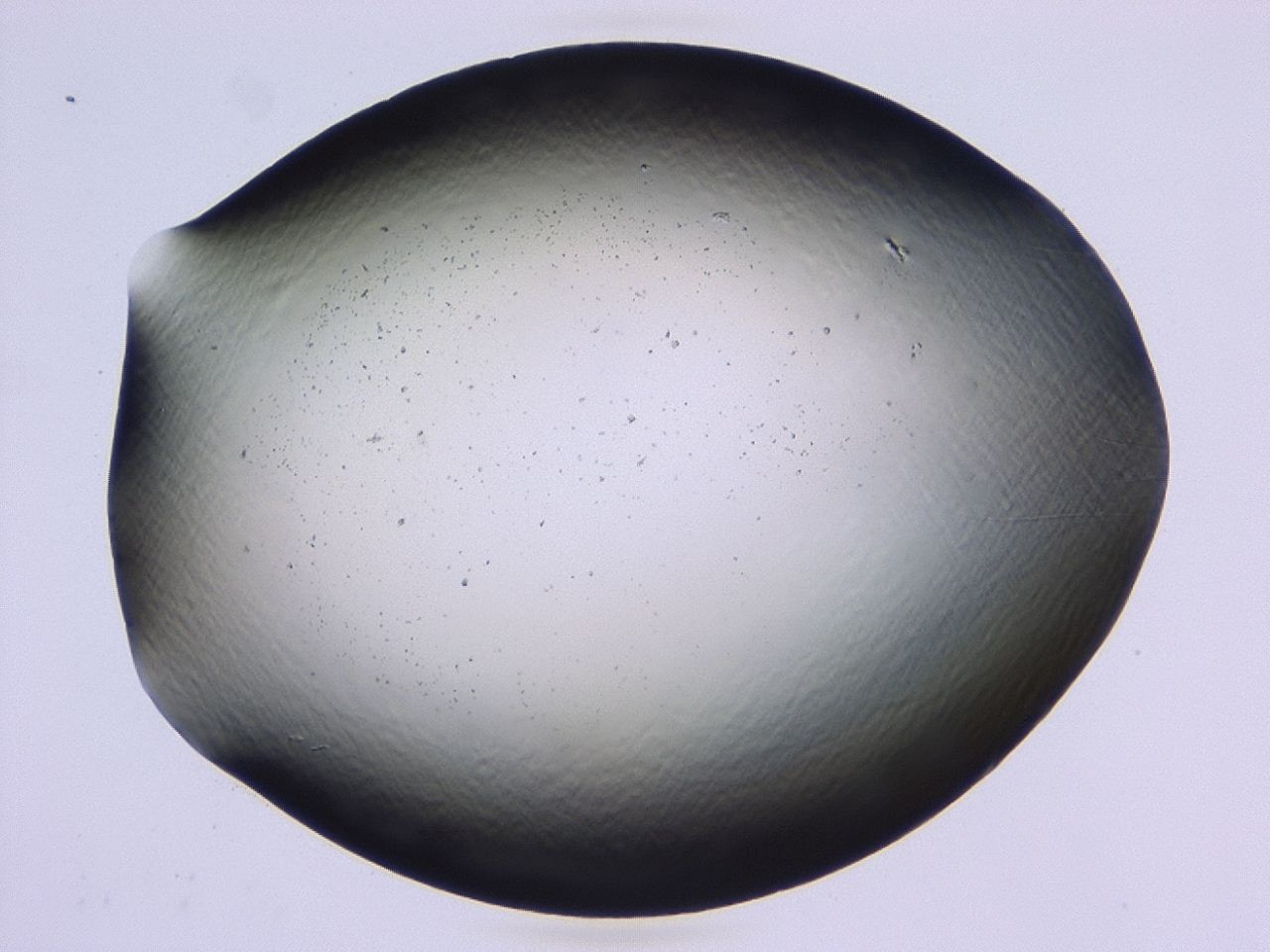 047b_C7_ImagerDefaults_0.jpg