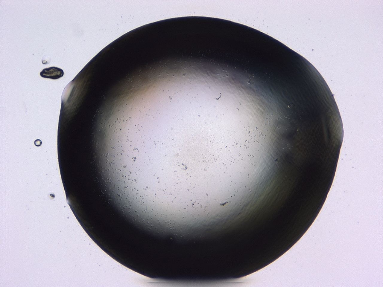 047b_C8_ImagerDefaults_3.jpg