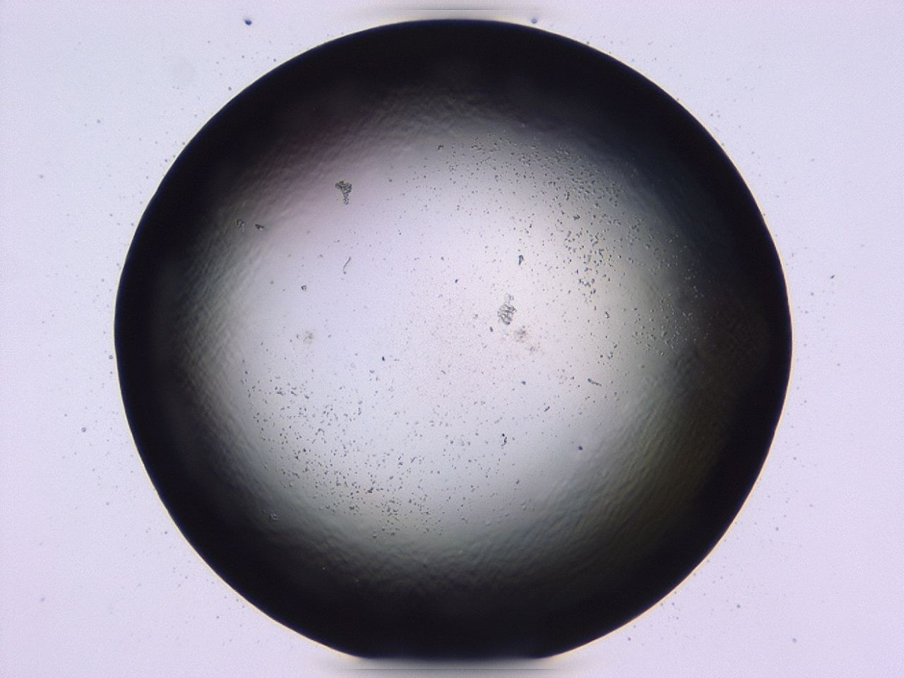047b_C9_ImagerDefaults_3.jpg