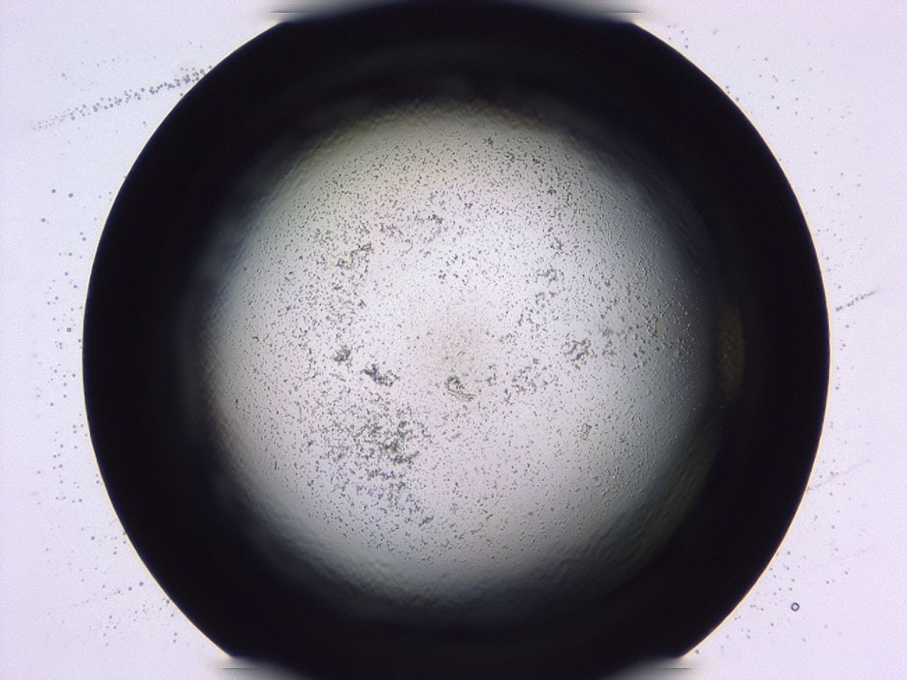 047b_C10_ImagerDefaults_3.jpg