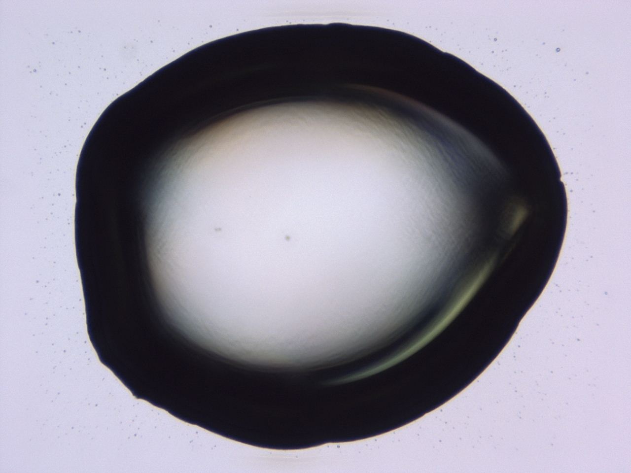 047b_C11_ImagerDefaults_0.jpg