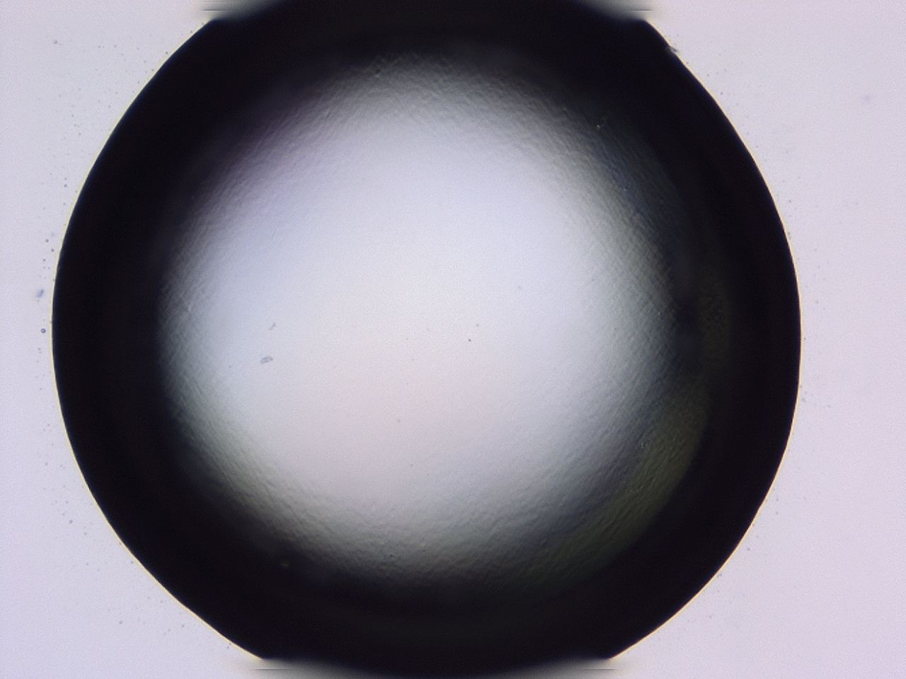047b_C12_ImagerDefaults_0.jpg
