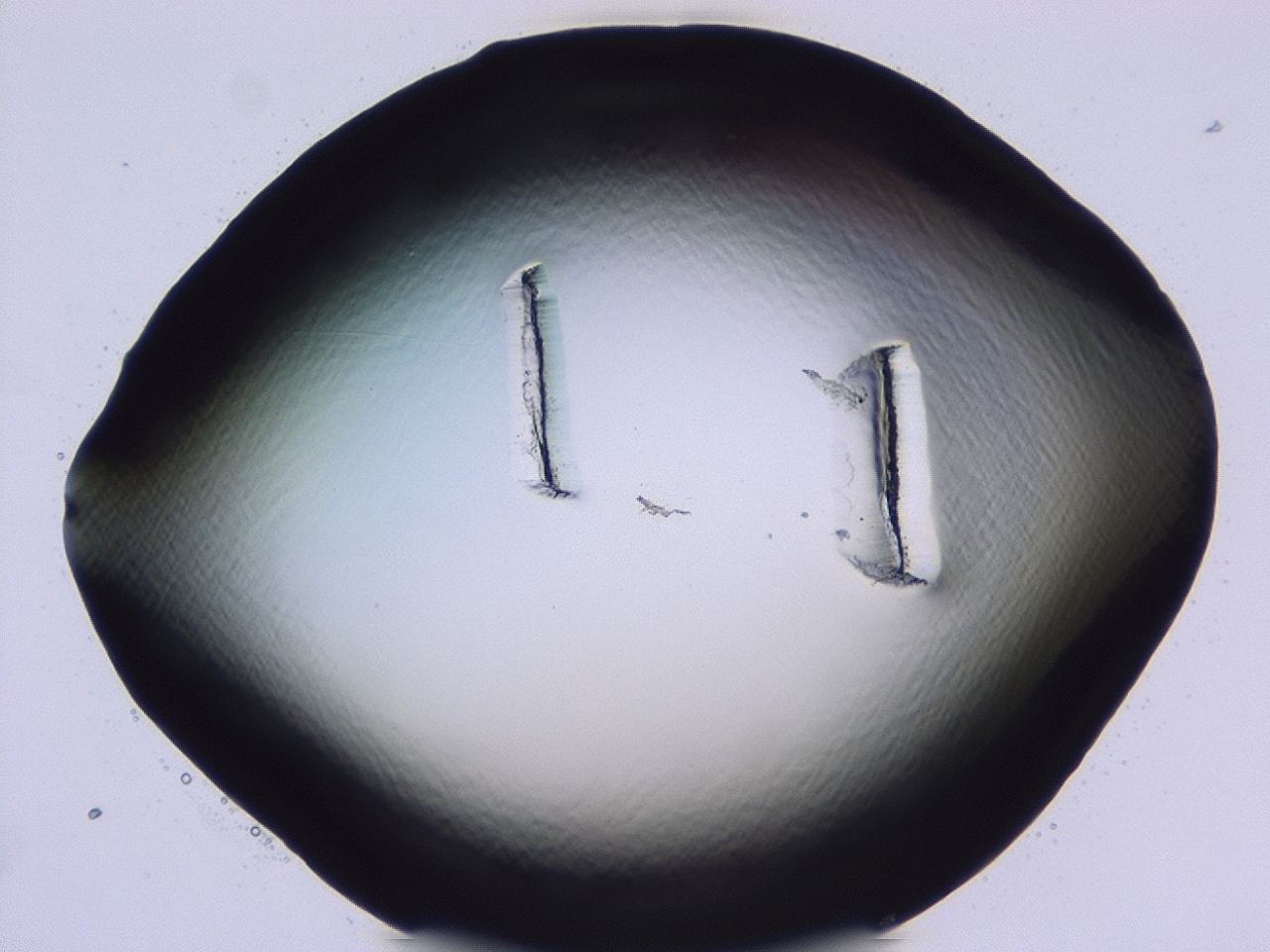 047b_D1_ImagerDefaults_0.jpg
