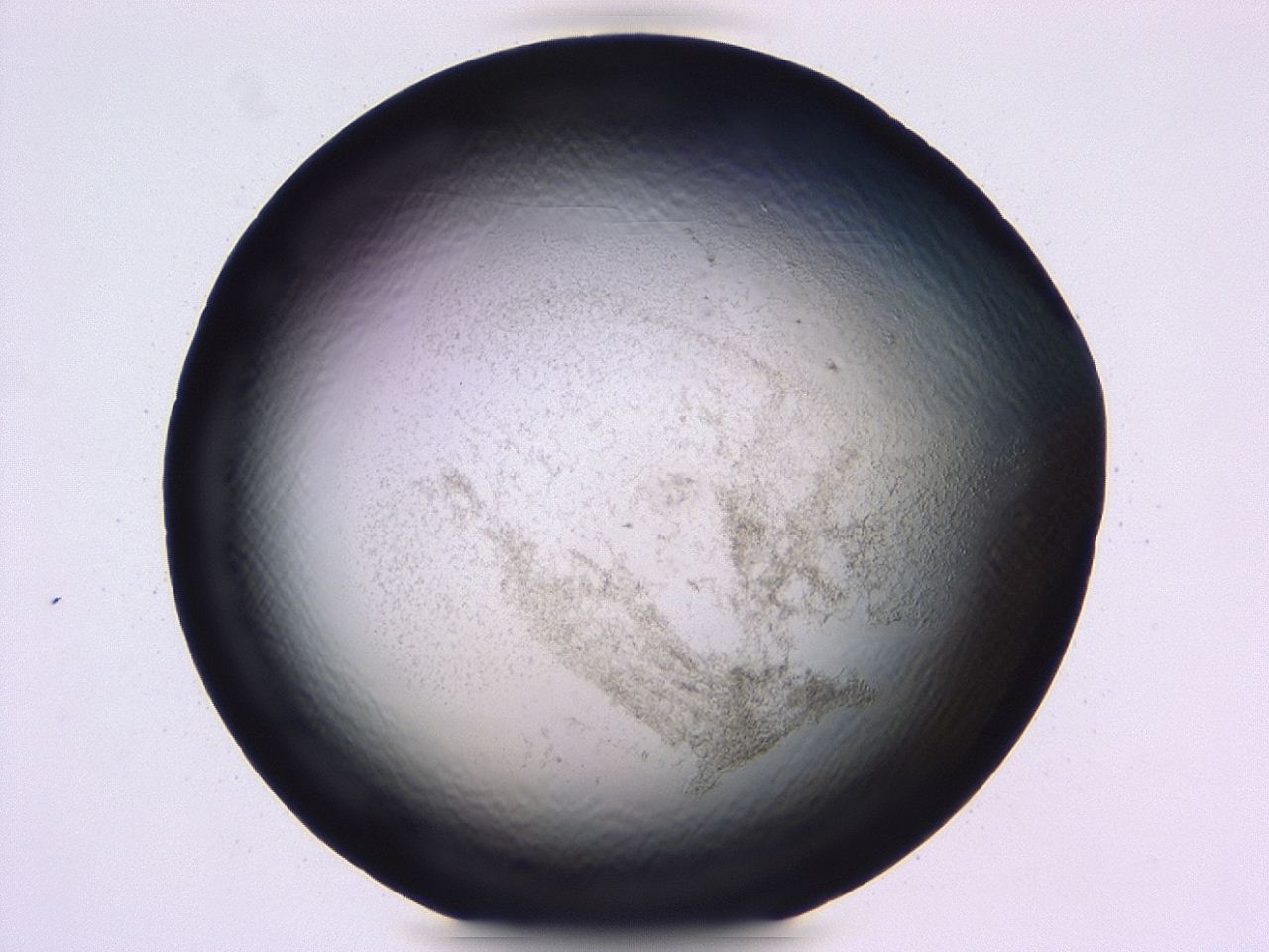 047b_D3_ImagerDefaults_3.jpg
