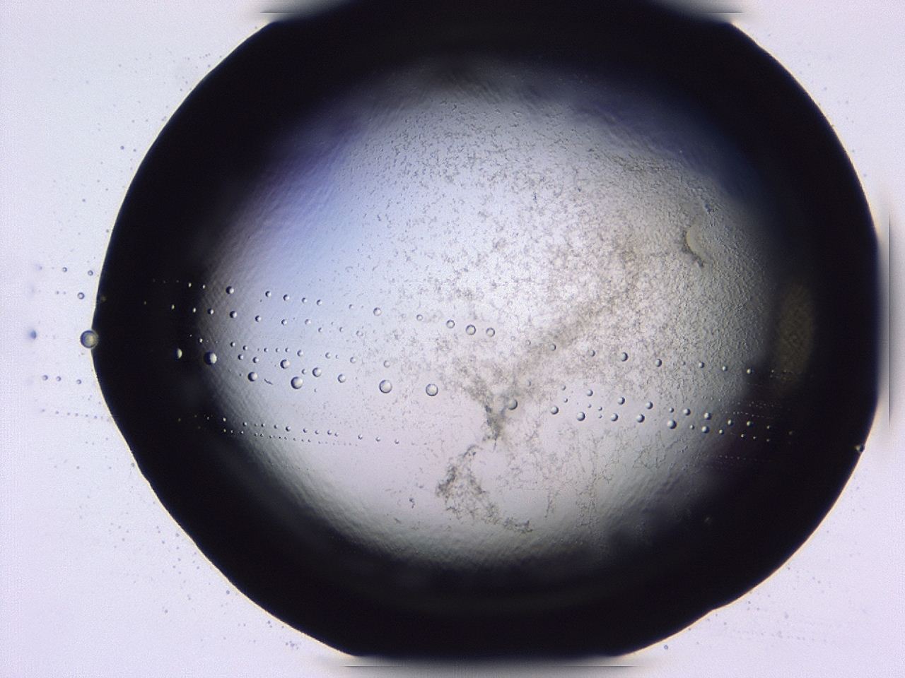 047b_D4_ImagerDefaults_3.jpg