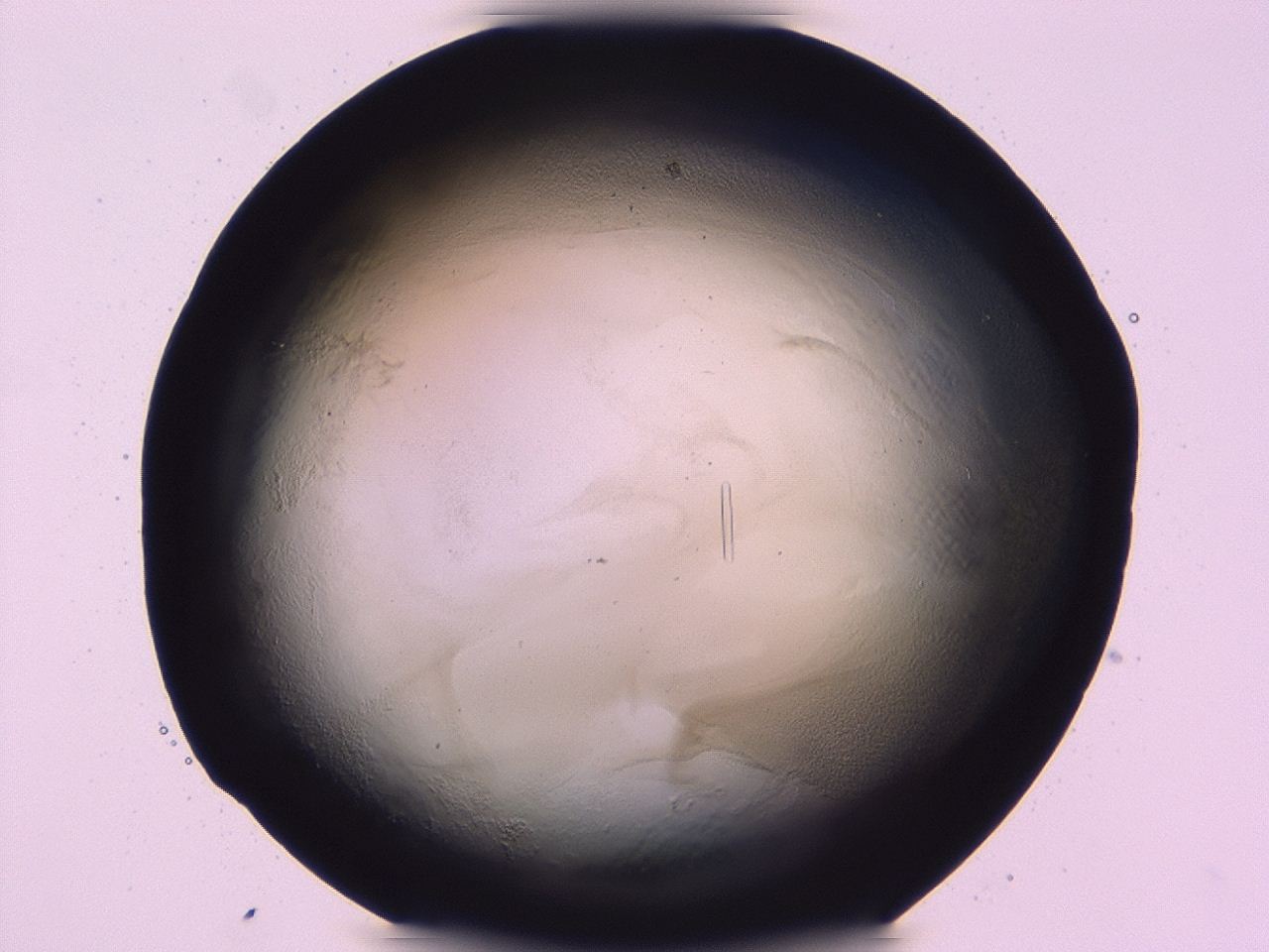 047b_D6_ImagerDefaults_3.jpg