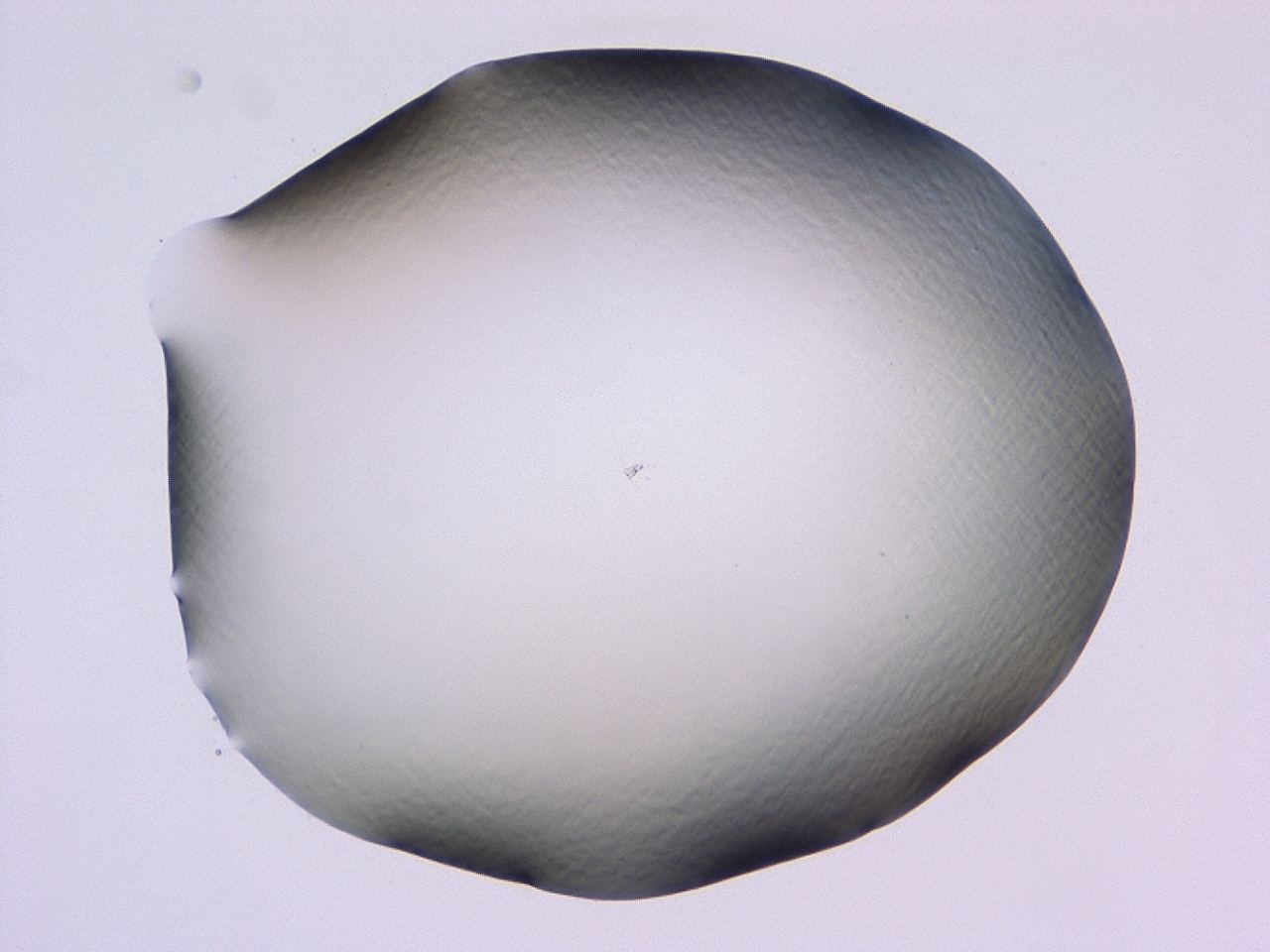 047b_D7_ImagerDefaults_0.jpg