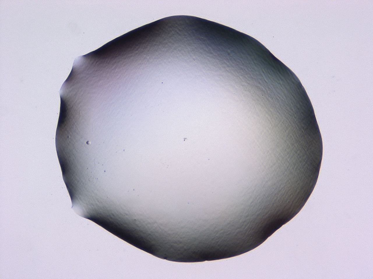 047b_D8_ImagerDefaults_0.jpg