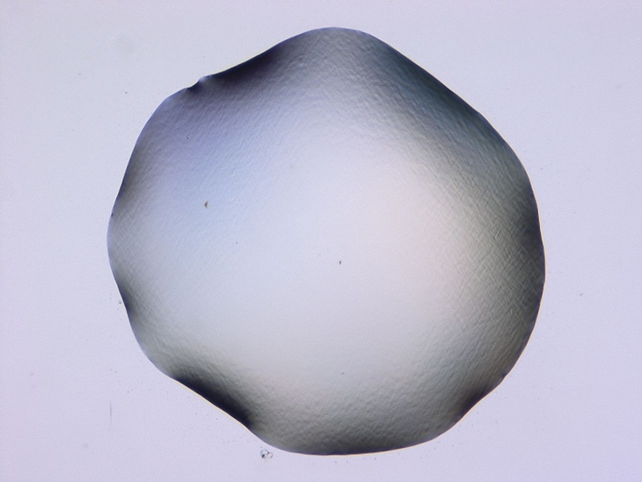 047b_D9_ImagerDefaults_0.jpg