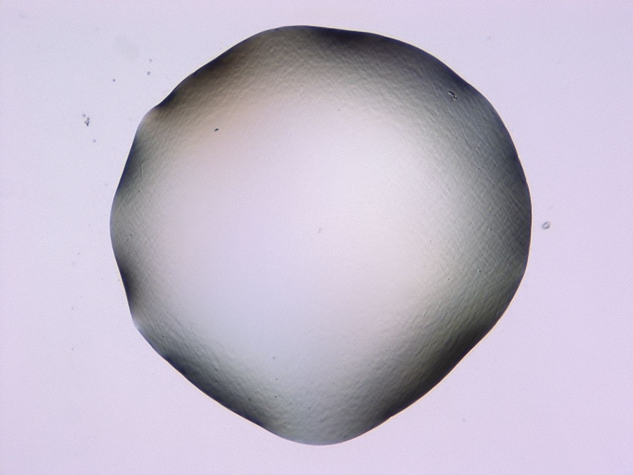 047b_D10_ImagerDefaults_0.jpg