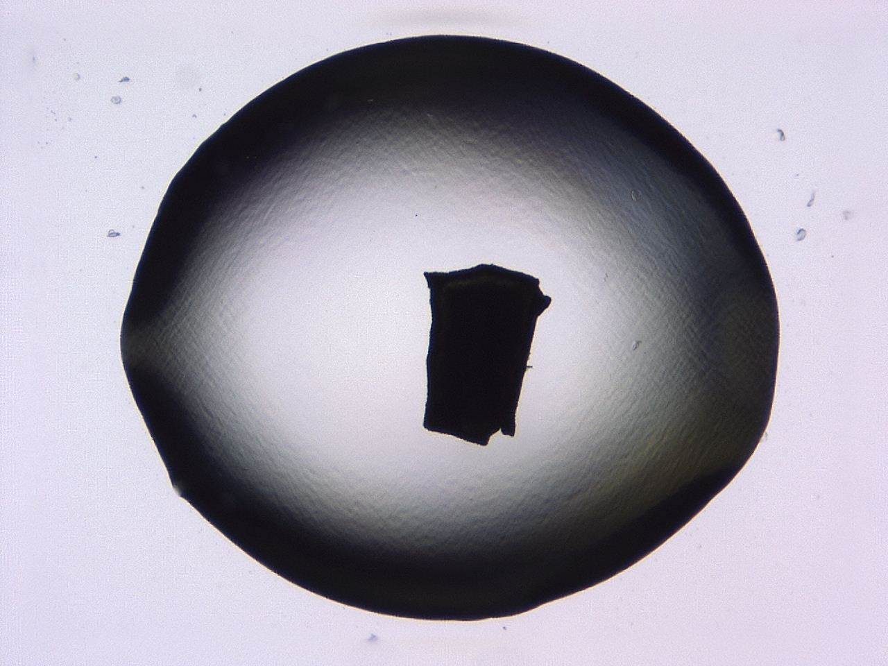 047b_D11_ImagerDefaults_0.jpg
