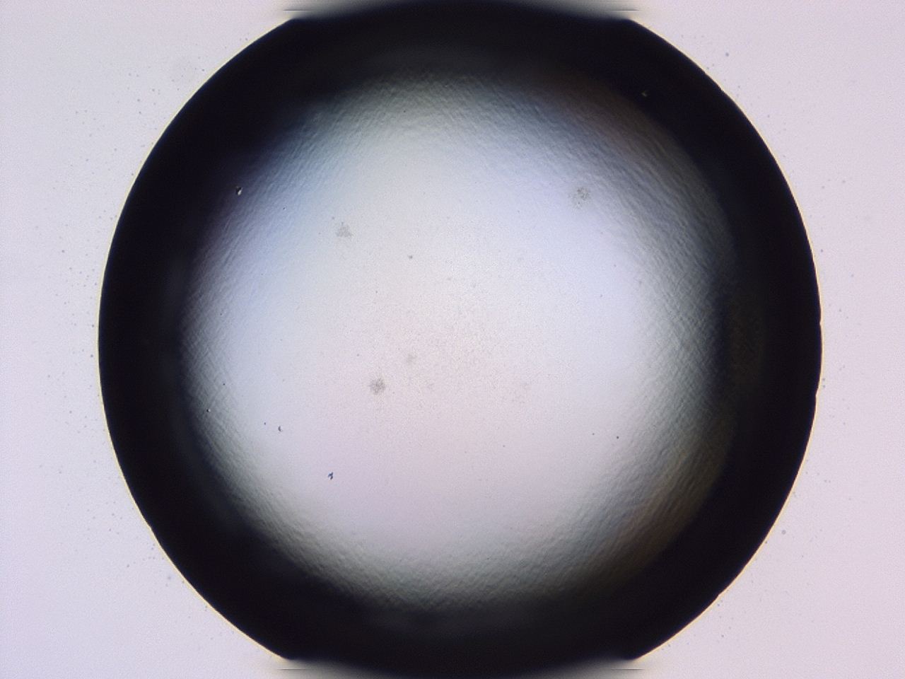 047b_D12_ImagerDefaults_0.jpg
