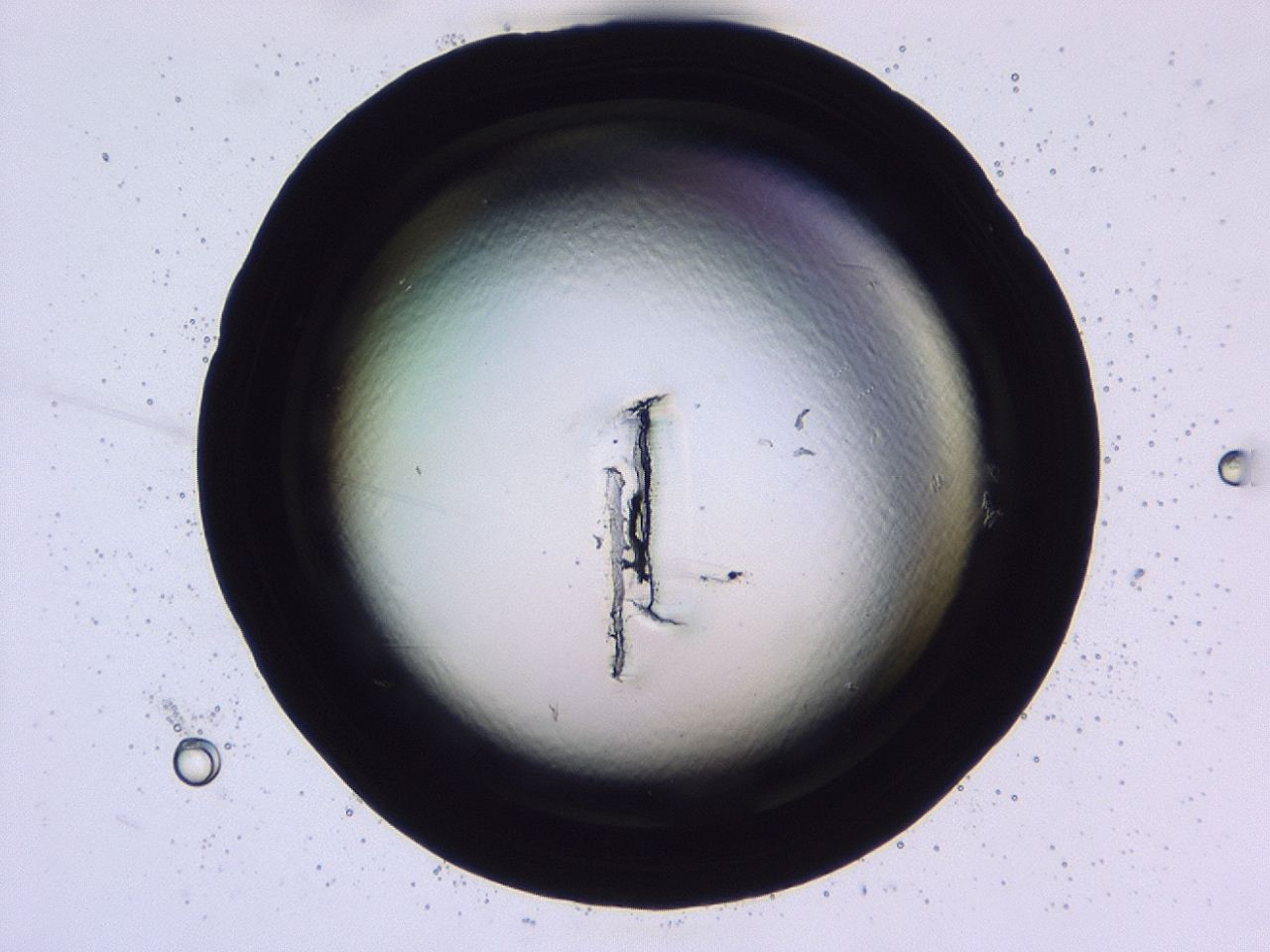 047b_E1_ImagerDefaults_0.jpg