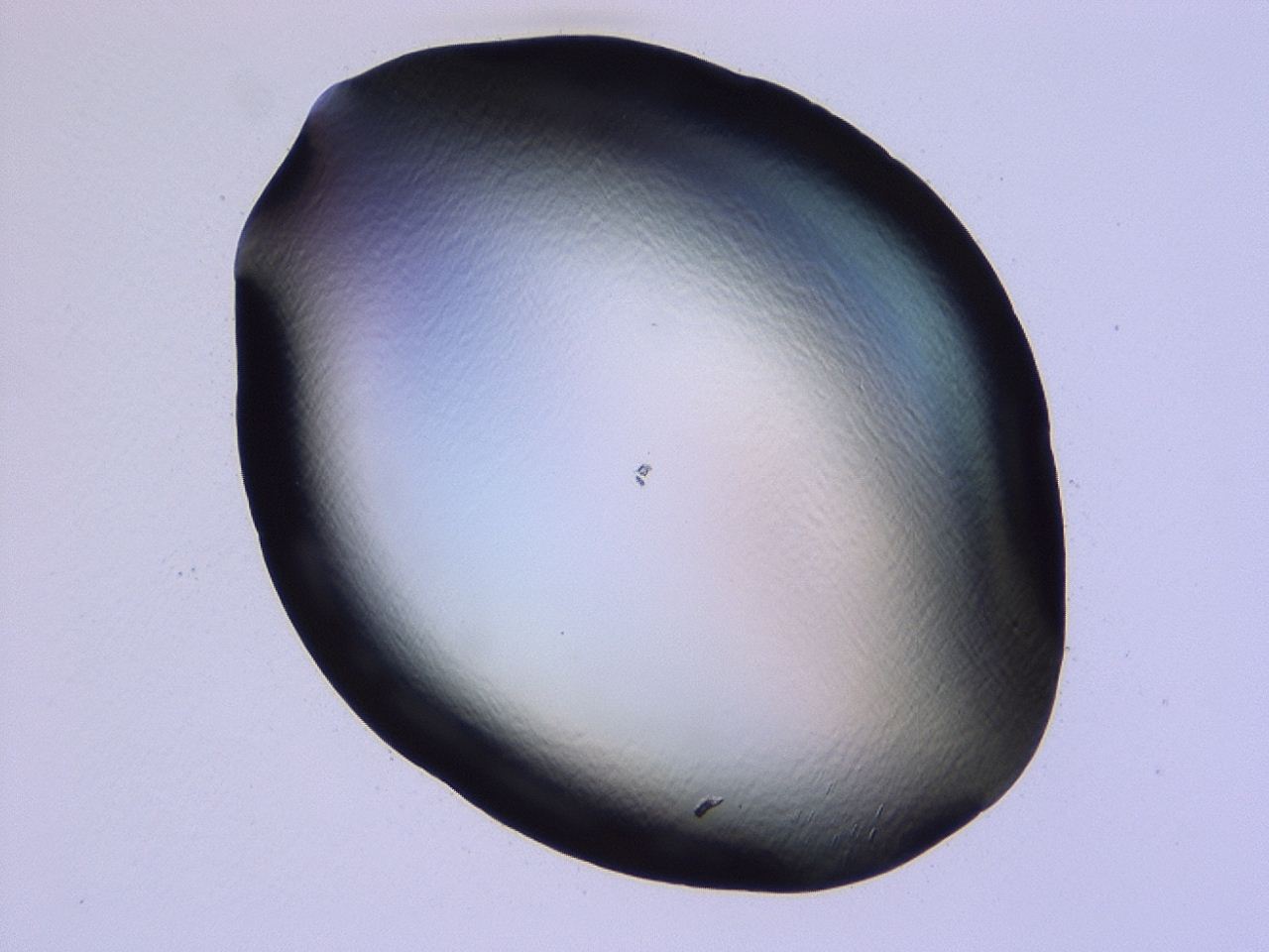 047b_E2_ImagerDefaults_0.jpg
