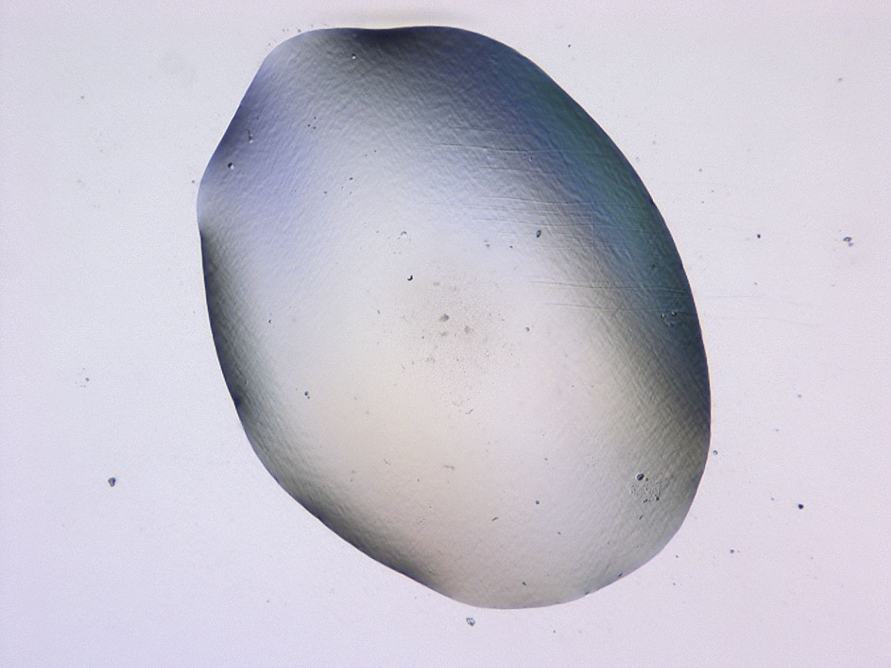 047b_E3_ImagerDefaults_0.jpg