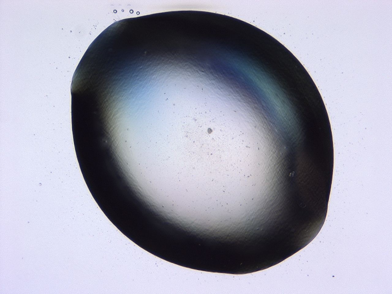 047b_E5_ImagerDefaults_2.jpg