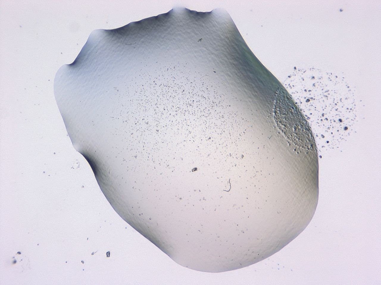 047b_E8_ImagerDefaults_3.jpg