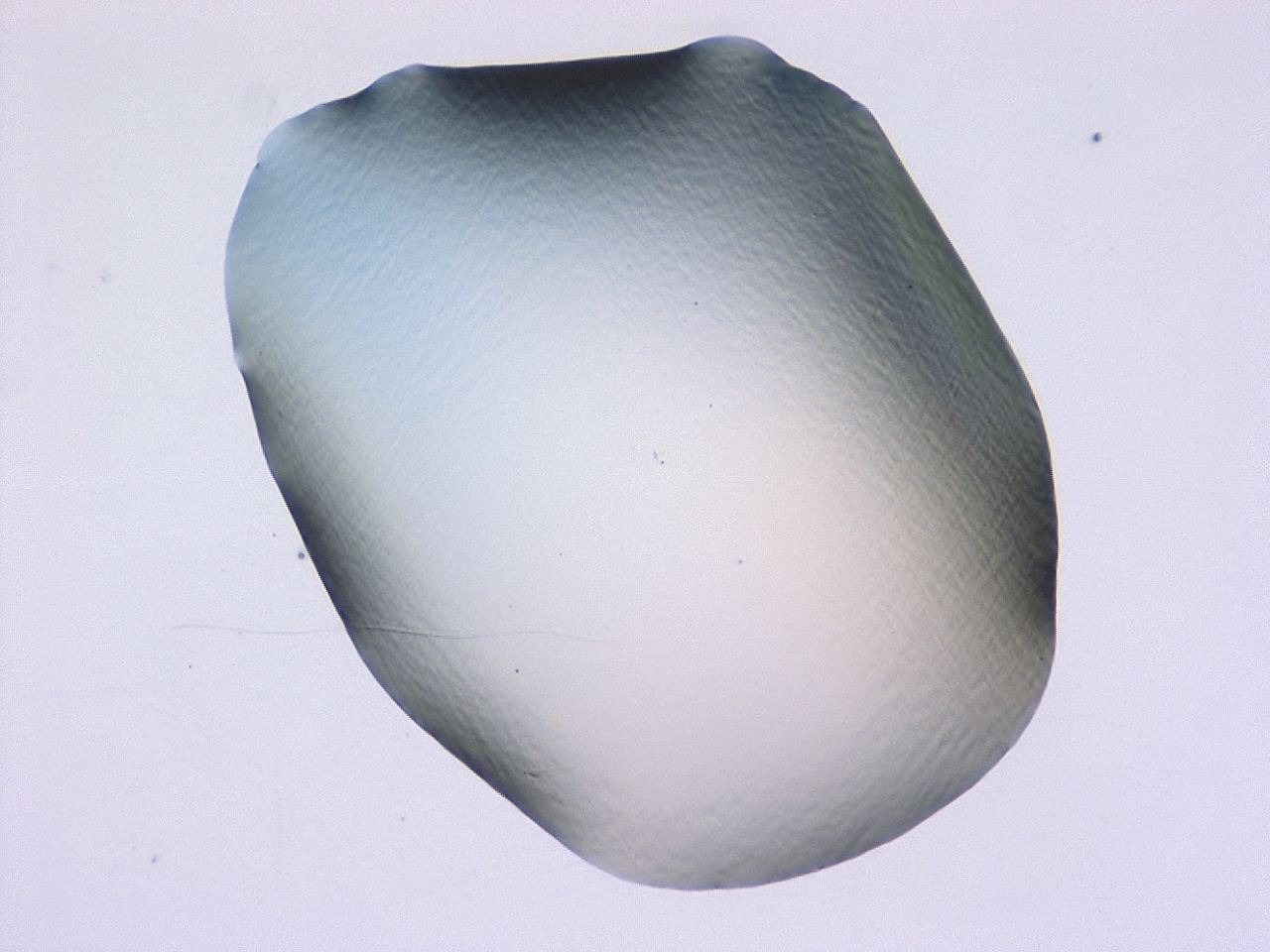 047b_E9_ImagerDefaults_0.jpg